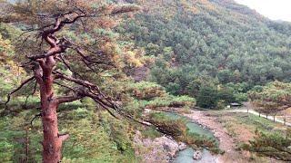 수려한 경관을 지닌 산악자연과 청정 해안, 울진군