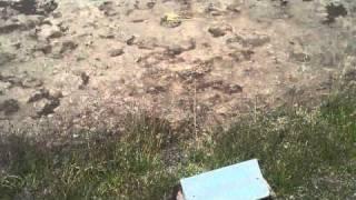 Churning Cauldron near Mud Volcano at Yellowstone