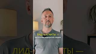 Что такое лид-магниты и как они приносят гору дешёвых лидов #реклама #маркетинг #недвижимость