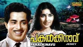 Pakalkinavu Malayalam Full Movie | Sathyan |Sharada |