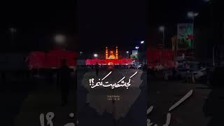 درد زیاده! #حسین_ستوده #امام_حسین #حرم_الامام_الحسين #کربلا #مداحی #مذهبی