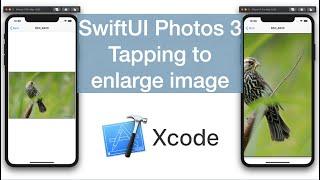 SwiftUI Photos 3 | Tapping to enlarge image