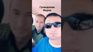 Гуландонам Марав