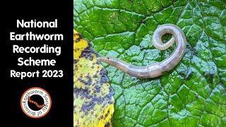 National Earthworm Recording Scheme Report 2023