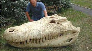 The Giant Caiman That Bit Harder Than T. Rex - Purussaurus