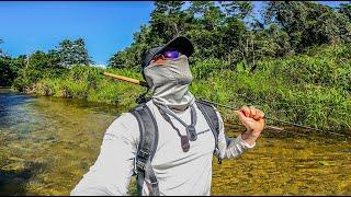 Angeln im australischen Regenwald  mit Wobbler im glasklaren Bach auf seltene Fische 