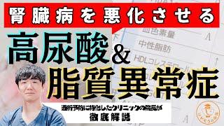 知らぬ間に腎臓を傷つけているかも！？見落とされがちな脂質異常症、尿酸を透析予防に特化したクリニックの院長が徹底解説！