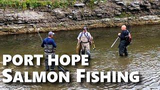 Salmon Run Fishing, Port Hope Sept 2022