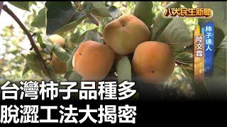 台灣柿子品種多 脫澀工法大揭密 |【民生八方事】| 2023072904 @gtvnews27