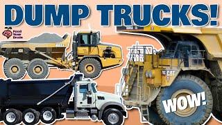 Dump Trucks! Learn All About Amazing Dump Trucks! Articulated Haulers, Rigid Dump Trucks, Giant Ones