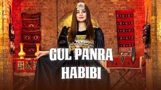 Gul Panra - Habibi | گل پانرا - حبیبی