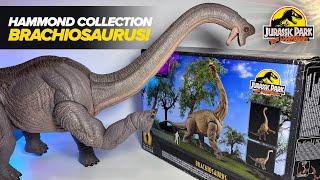 NEW BRACHIOSAURUS! Hammond Collection Brachiosaurus Review