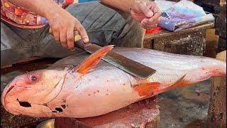 Giant Pangas Fish Cutting Skills Live || Amazing Pangas Fish Cutting Skills In Bangladesh