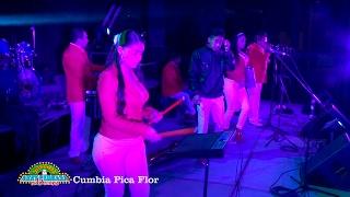 Nery Pedraza y los Guaraperos de la Cumbia  Cumbia Pica Flor