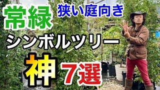 【意外と知らない】コンパクトな庭におすすめな常緑シンボルツリー　7選　　　　　【カーメン君】【園芸】【ガーデニング】【初心者】