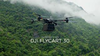 Introducing DJI FlyCart 30