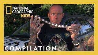 Snake Facts with Professional Snake Catchers!  | Nat Geo Kids Compilation | @natgeokids