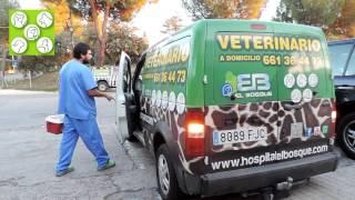 FAUSTO KOLISEK. Veterinario a Domicilio 24 horas tel 661364473