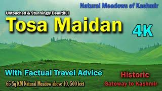 Stunning Tosa Maidan| The King of Meadows | Complete tour tips | Gateway to Kashmir Valley