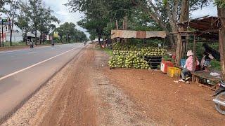 Road Trip From Phnom Penh to Kirirom / Having Street Food on National Road #4 , Cambodia