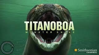 ular raksasa di dunia nyata-titanoboa