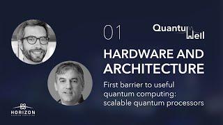 First barrier to useful quantum computing: scalable quantum processors - Joe Fitzsimons