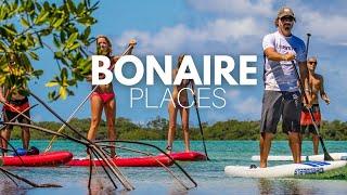 Exploring the Caribbean's Hidden Gem: A Tour of Bonaire Island!