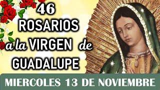 46 Rosarios ala Santísima Virgen de Guadalupe, Miércoles 13 de Noviembre, Dia 17Misterios Gloriosos