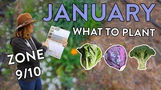 What to Plant in January: Kickstart Your Garden This Year!