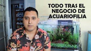 Negocio de  Peces: De Hobby a Negocio Sostenible