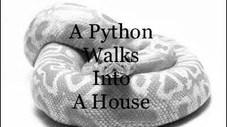 A Python Walks Into A House…(Lunatic Talks, Episode 3a)