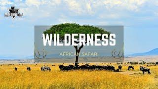 A Journey Into the Wilderness - A Walkthrough of the African Jungles