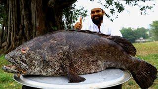 25 Kg King Hamour Fish Biryani Recipe || Amazing Hamour Fish Biryani || Nawabs Kitchen