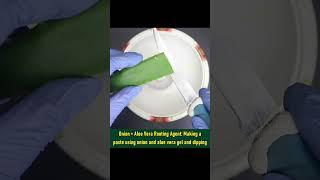 Onion Rooting Hormone Hack - - Garden Hack #shorts #garden
