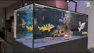 Stunning Underwater home fish media Explore the Beauty of a Plant Aquarium #141