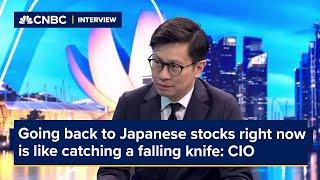 Going back to Japanese stocks right now is like catching a falling knife: CIO