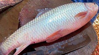 All Fish Cutting Skill | Mrigal, Rohu, Katla & Hilsa Fish Cutting By Expert Fish Cutter