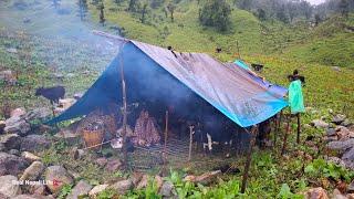 This is Shepherd Life | Nepal | Organic Shepherd Food | Returning the Home After Six Month Later |