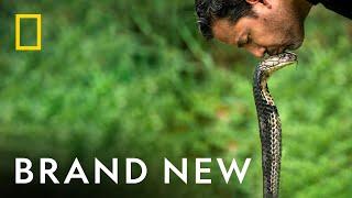 First Look | David Blaine: Do Not Attempt | National Geographic UK/WILD