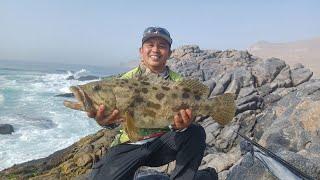 Rock Fishing for Big Grouper | Rock Fishing Adventure in Oman | Fishing is Life