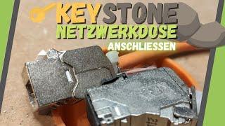 Keystone Netzwerkdose ▶ DAS musst Du beim Anschließen beachten!