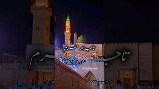 Tajdara Haram new edit #tajdareharam #fyp #newnaat #shorts #vip #today