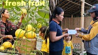 10 Days of Selling Fresh Fruit and Receiving Money from Husband to Prepare Tram Anh for School