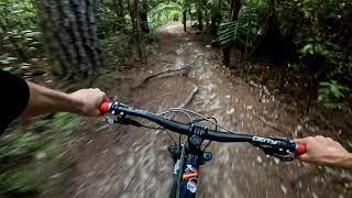 Treehugger @ Kaiteriteri MTB Park. Kaiteriteri.