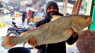 White Salmon Cutting & Cleaning | How to Fillet a Whole Salmon | Fish Cutting Skills