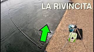 RIVINCITA SUI PESCI SERRA - nuovo Daiwa BG 2024-