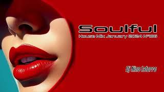 Soulful House Mix January 2024 N°186