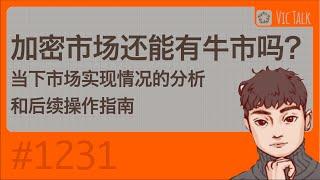 加密市场还能有牛市吗？当下市场实现情况的分析和后续操作指南【Vi吃TALK 第1231期】