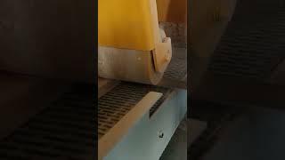 Máy lạng gỗ 5mm tại Bình Dương #shorts #maylanggo #bandsaw #mayxego