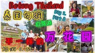 勿洞四宝逍遥自驾游 Betong,Thailand 旅游日记 EP04 好不一样的万花园 / DIY椰子冰淇淋 / 原来勿洞晚上按摩会起价